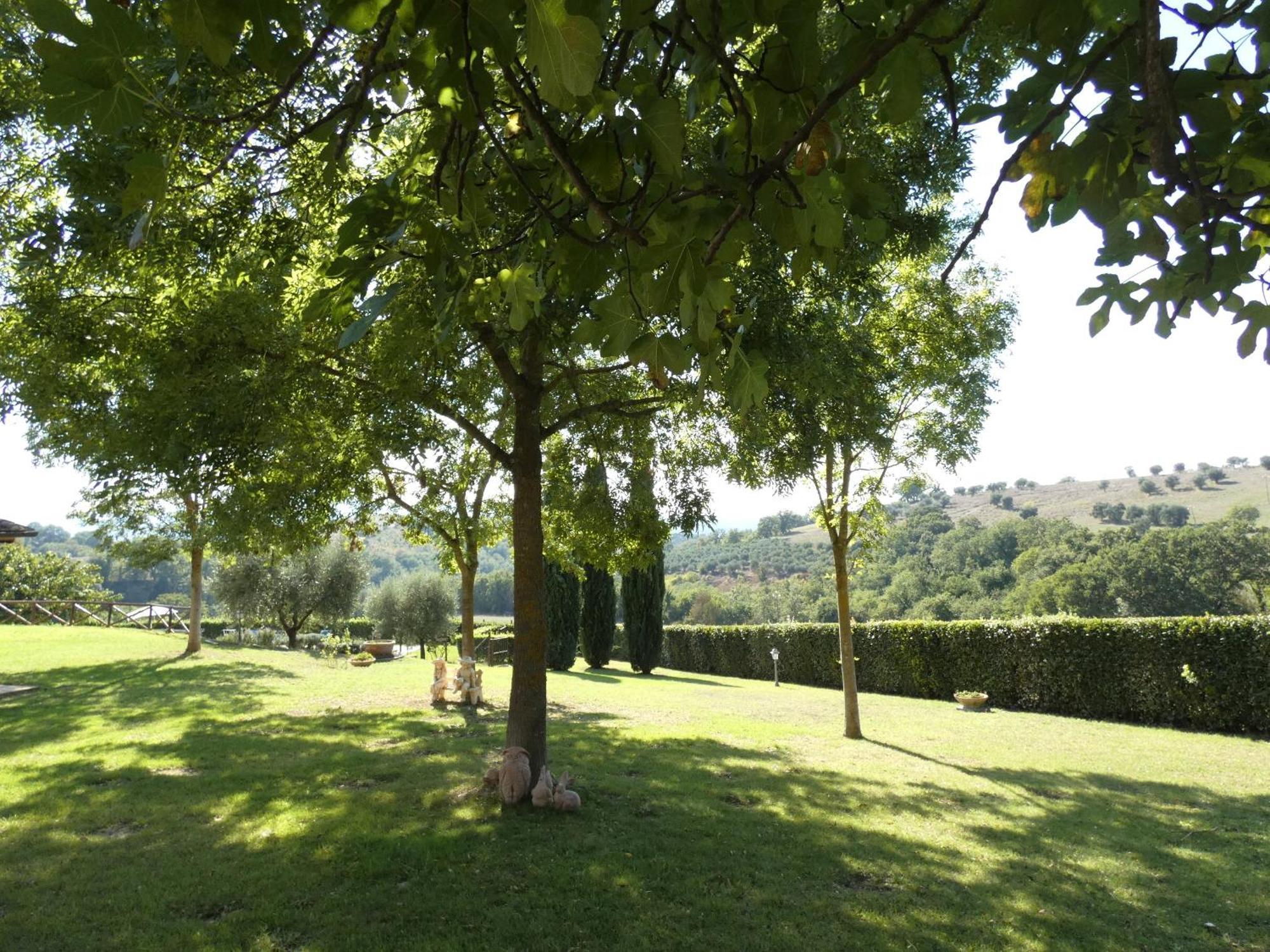 Scappo In Umbria, La Dolce Godera Villa Lugnano in Teverina